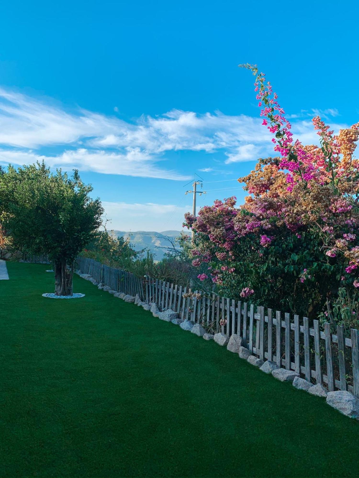 Vila Casas Bemposta Monchique Exteriér fotografie