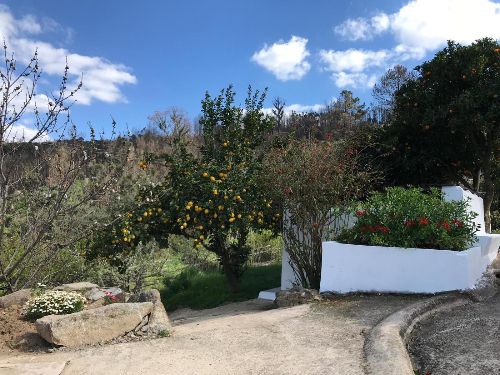 Vila Casas Bemposta Monchique Exteriér fotografie
