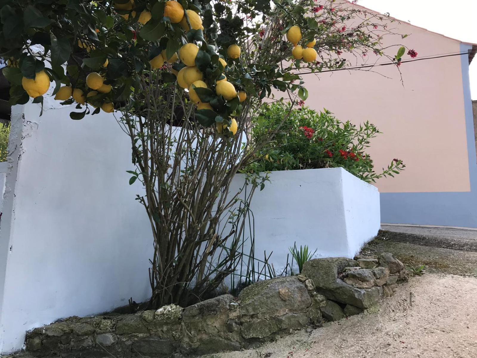 Vila Casas Bemposta Monchique Exteriér fotografie