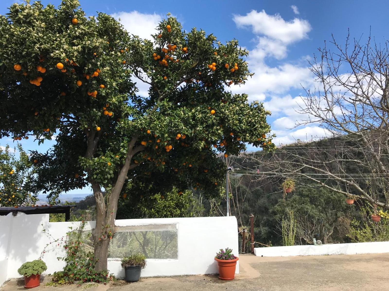 Vila Casas Bemposta Monchique Exteriér fotografie