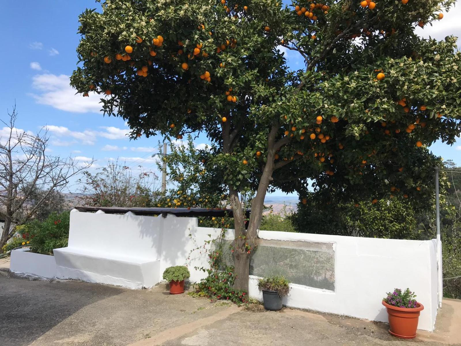 Vila Casas Bemposta Monchique Exteriér fotografie