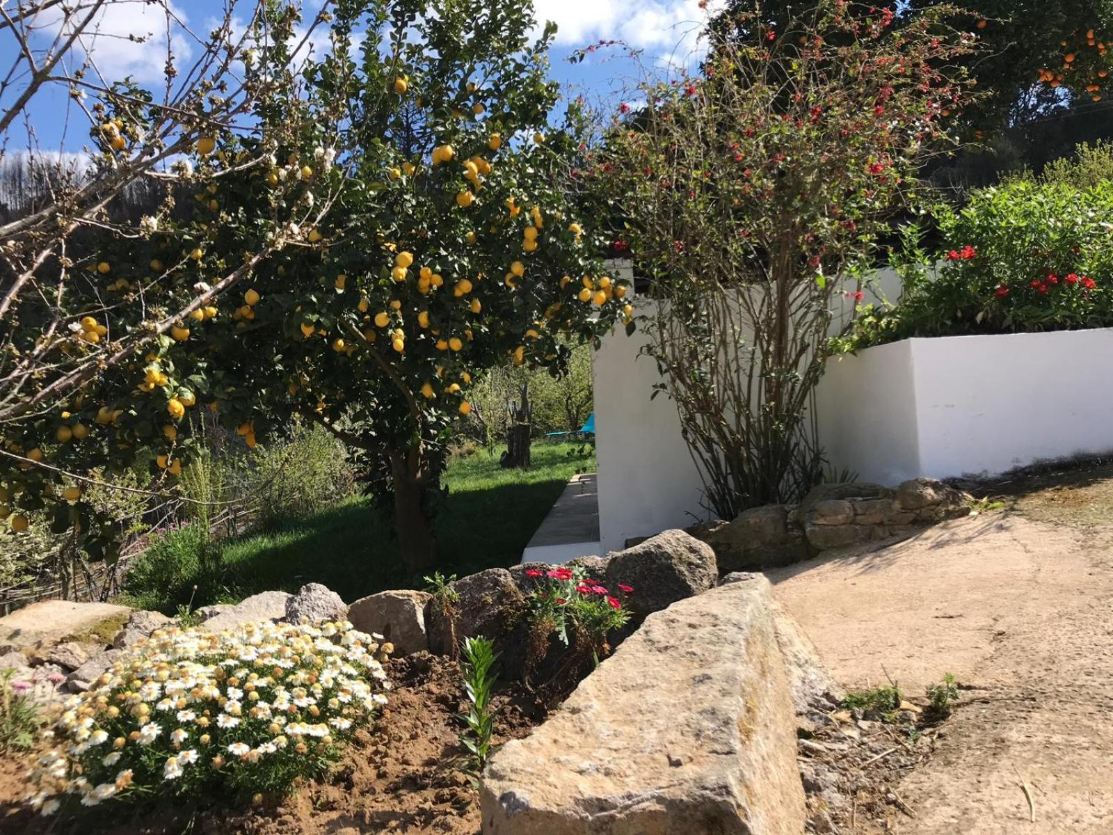 Vila Casas Bemposta Monchique Exteriér fotografie