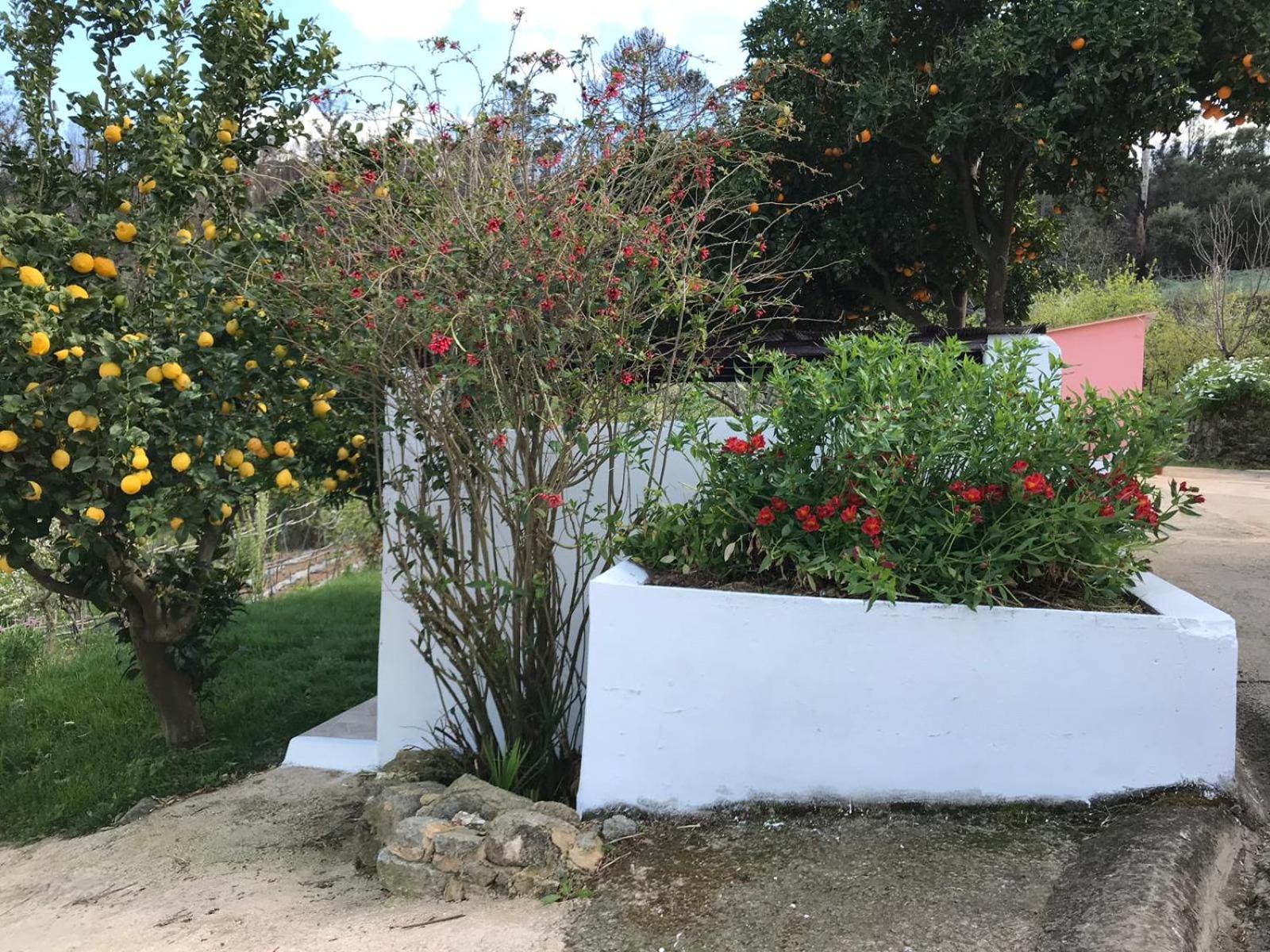 Vila Casas Bemposta Monchique Exteriér fotografie